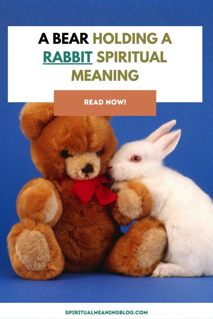 A Bear Holding a Rabbit Spiritual Meaning