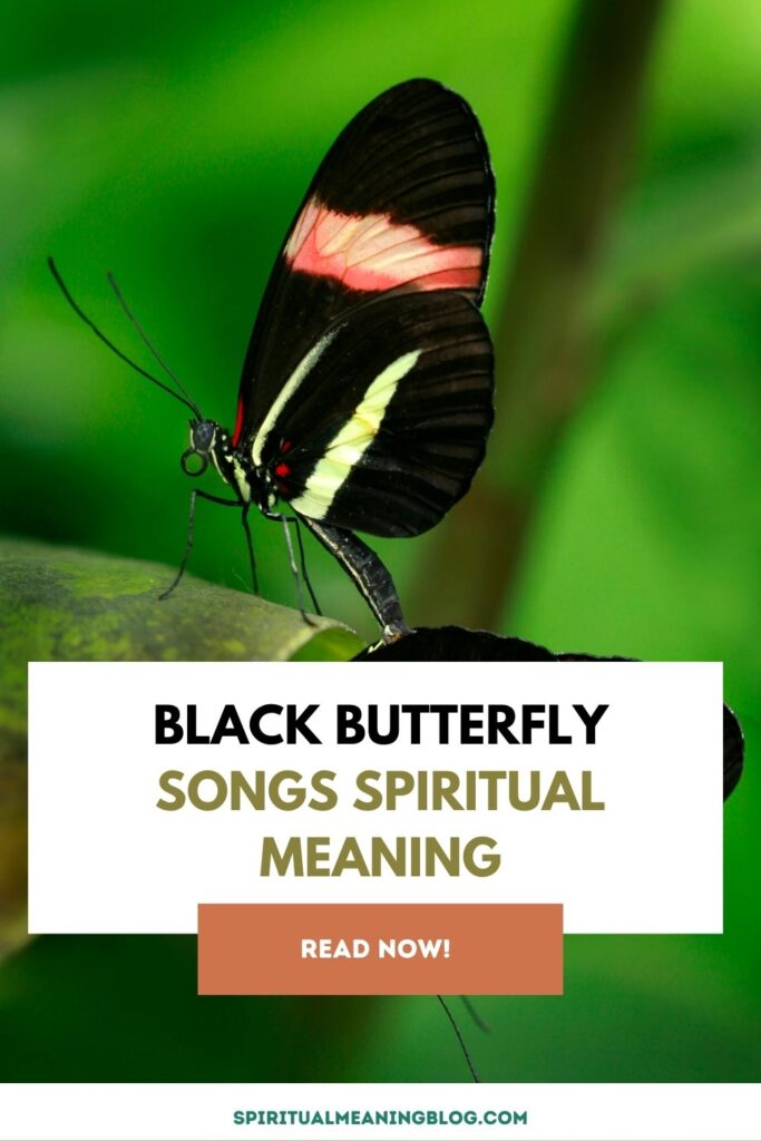 Black Butterfly Songs Spiritual Meaning
