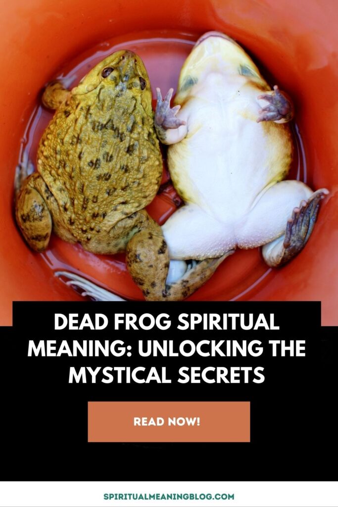 Dead Frog Spiritual Meaning