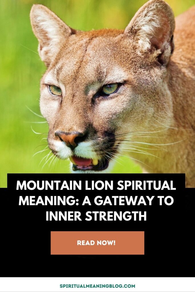 Mountain Lion Spiritual Meaning