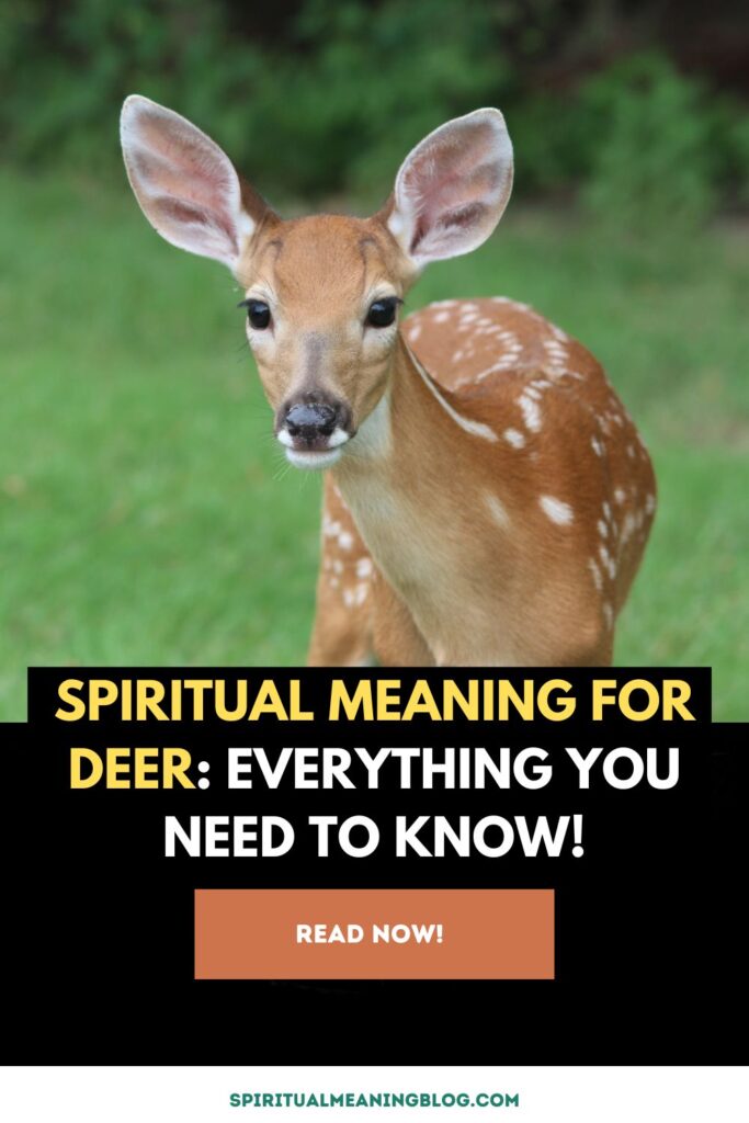 Spiritual Meaning for Deer