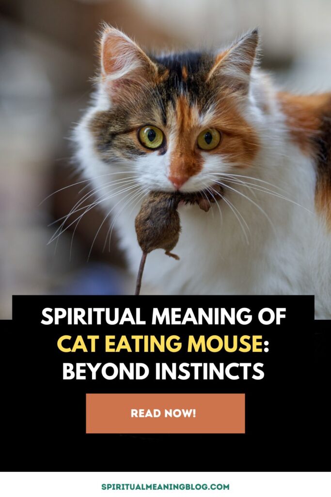 Spiritual Meaning of Cat Eating Mouse