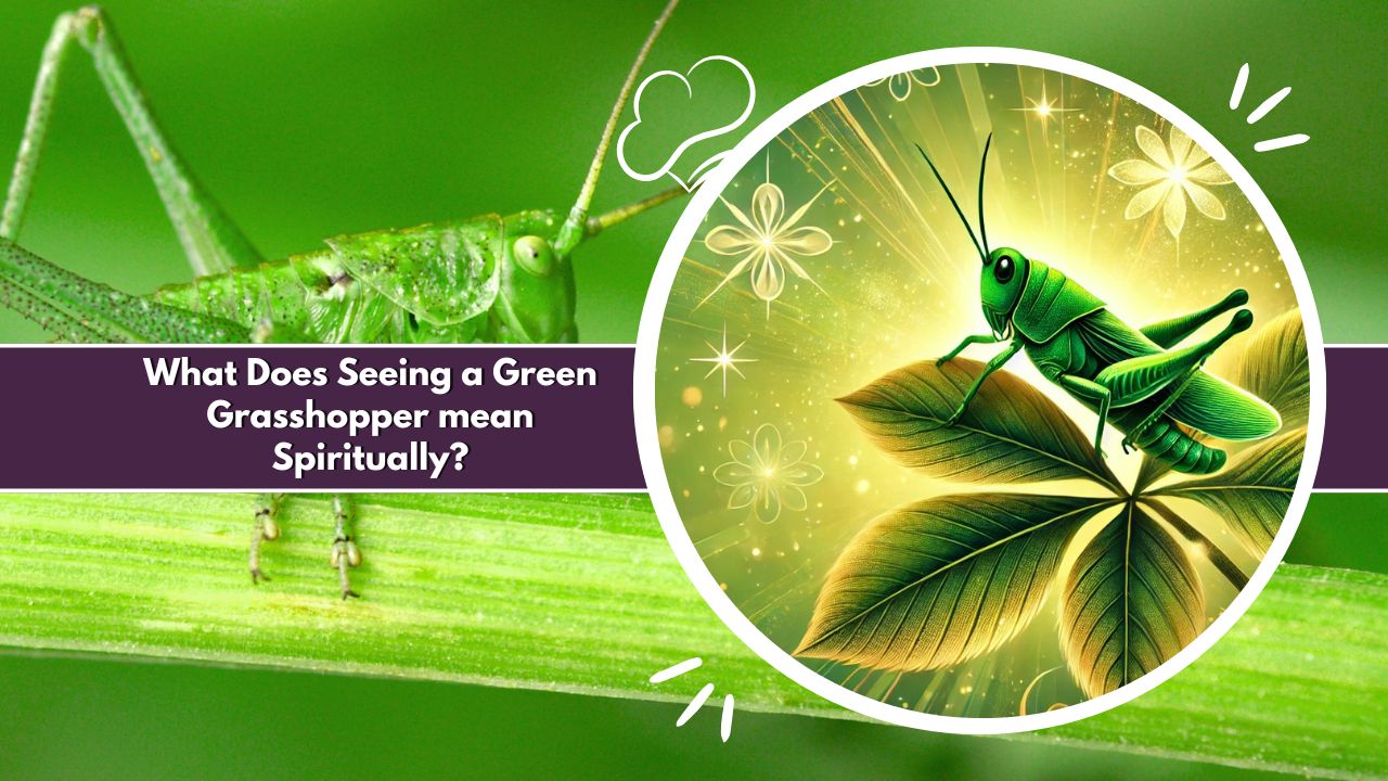 What Does Seeing a Green Grasshopper mean Spiritually?