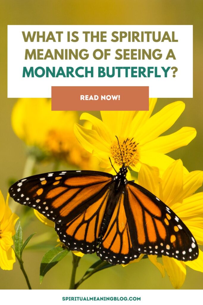 What Is The Spiritual Meaning Of Seeing A Monarch Butterfly?