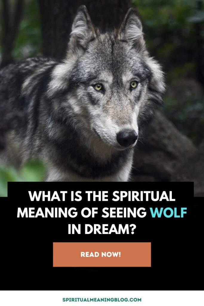 What is the Spiritual Meaning of Seeing Wolf in Dream?