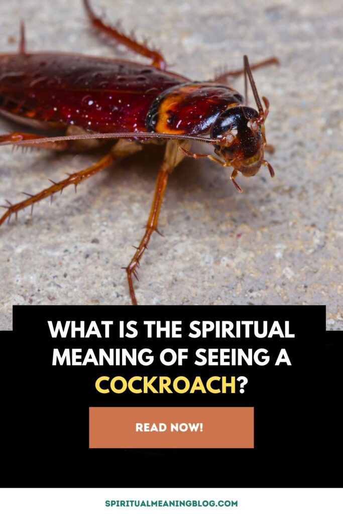 What is the Spiritual Meaning of Seeing a Cockroach