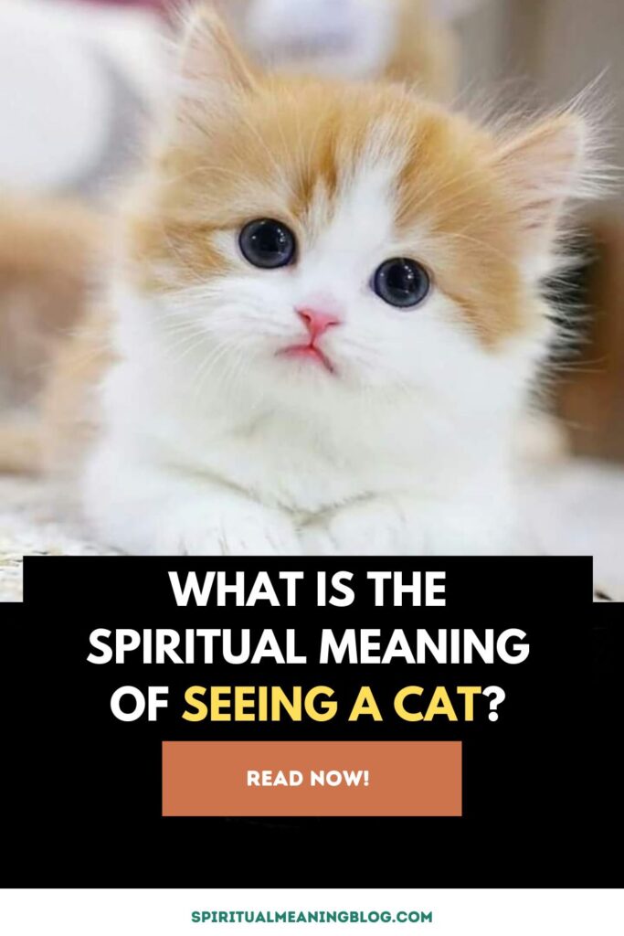 What is the Spiritual Meaning of seeing a Cat?