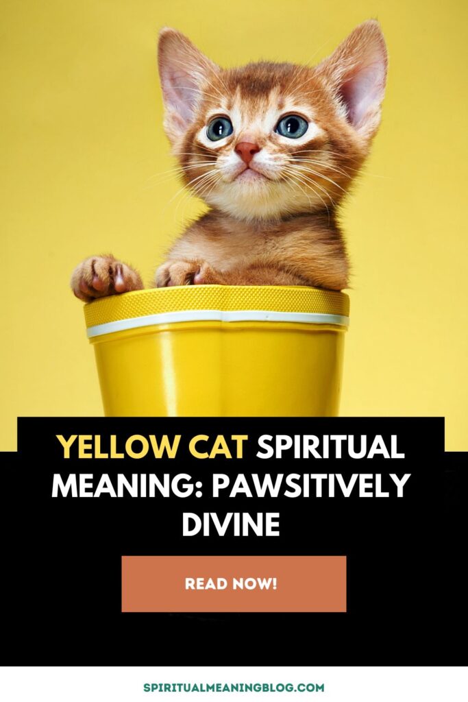 Yellow Cat Spiritual Meaning