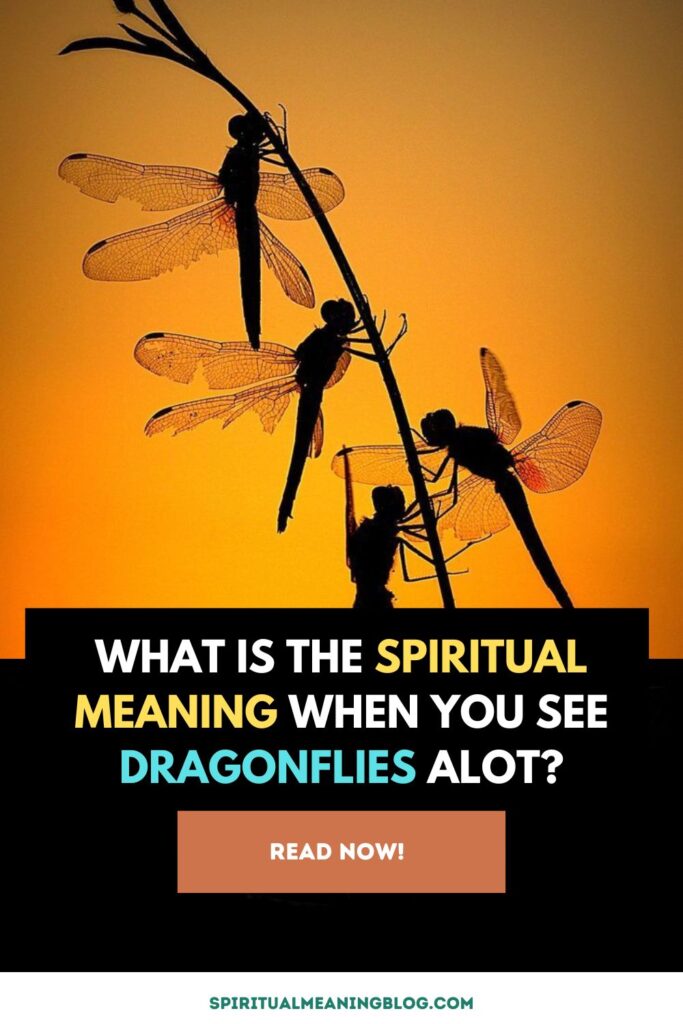 spiritual meaning of dragonflies