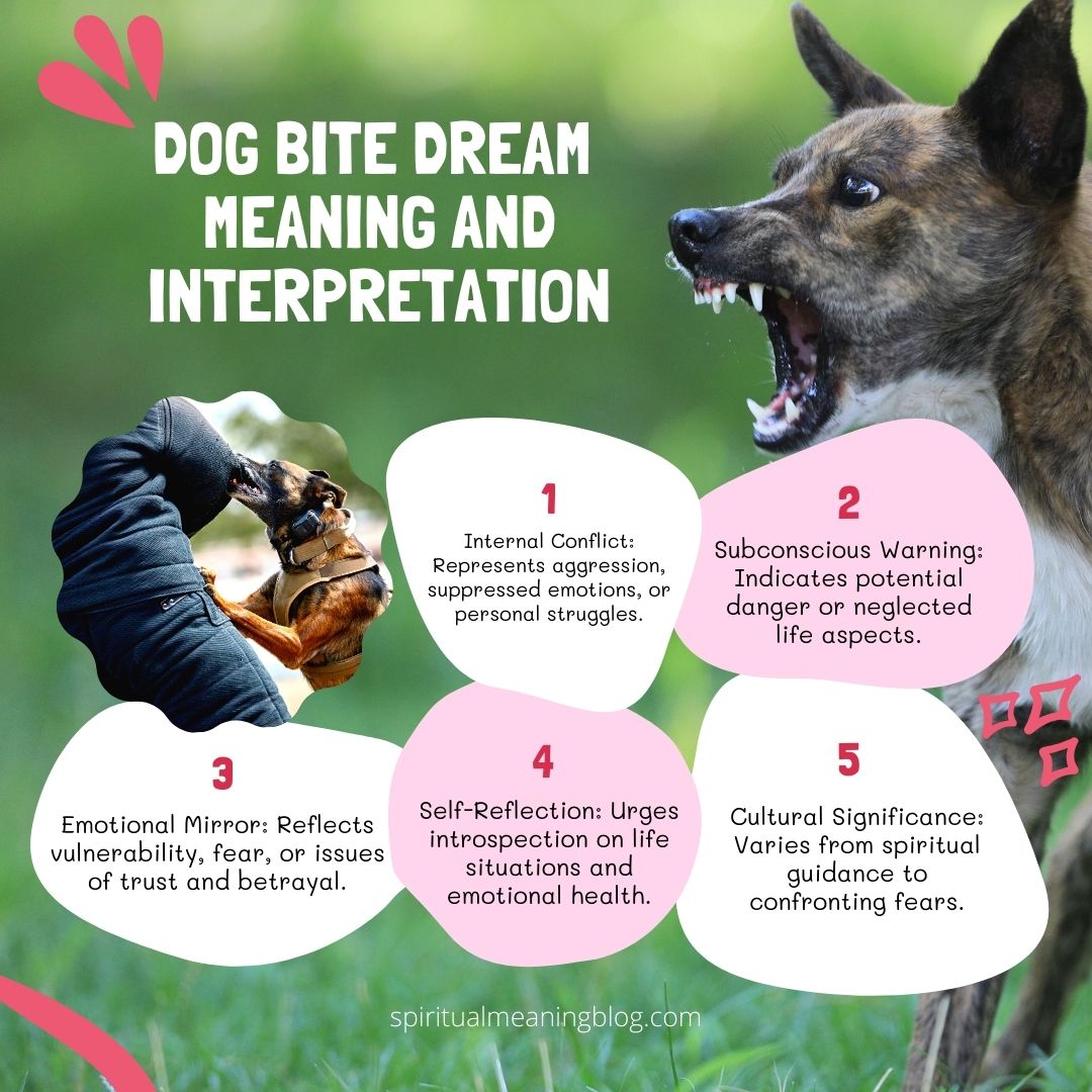 Dog Bite Dream Meaning and Interpretation