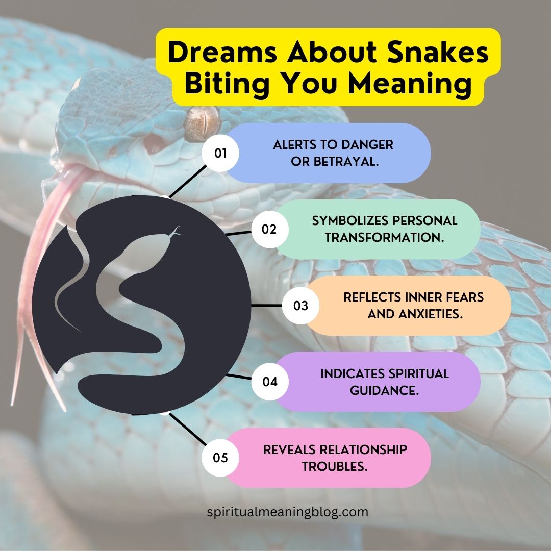 Dreams About Snakes Biting You Meaning