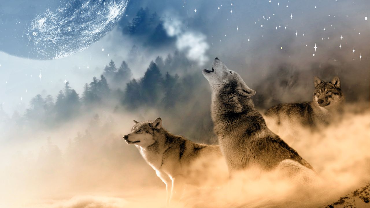 wolf dream meaning