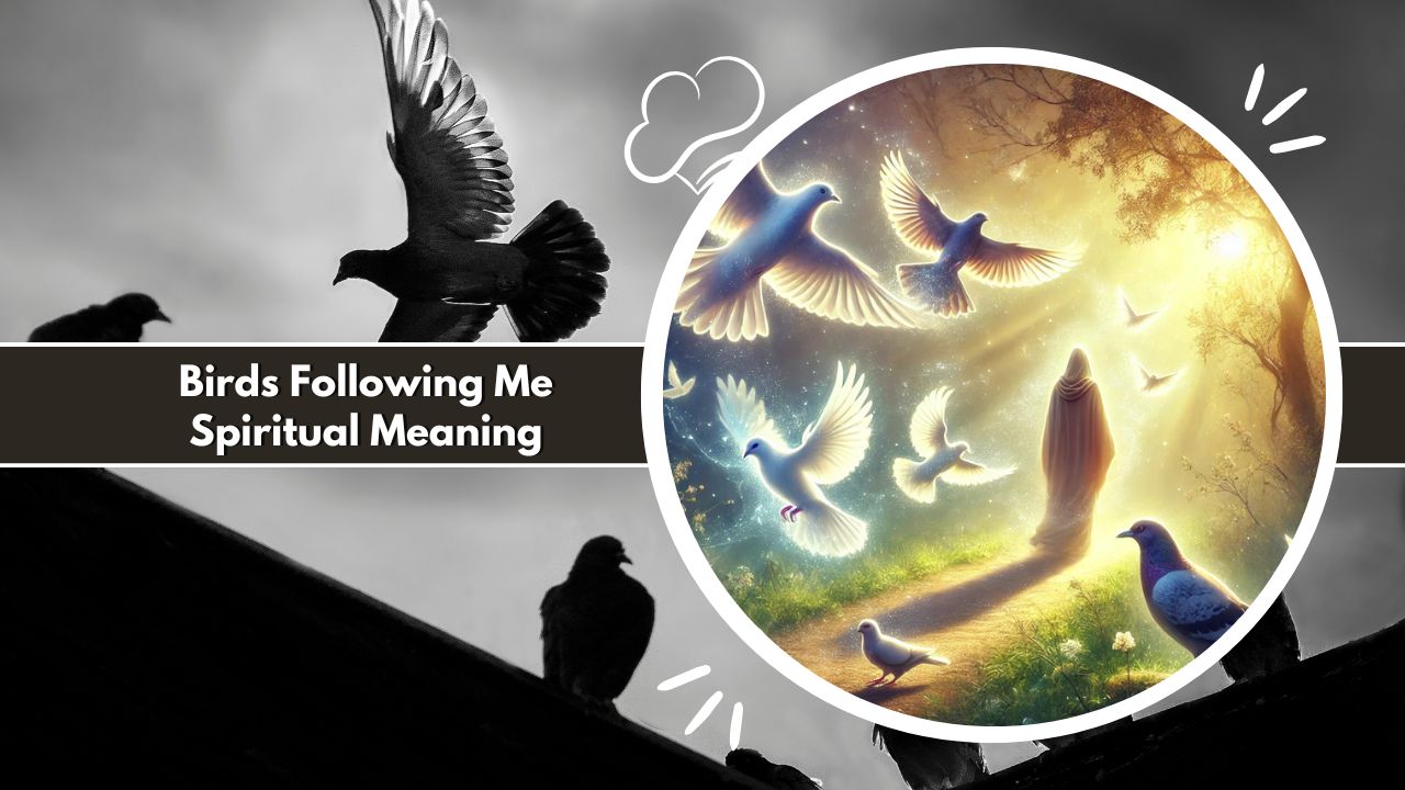 Birds Following Me Spiritual Meaning