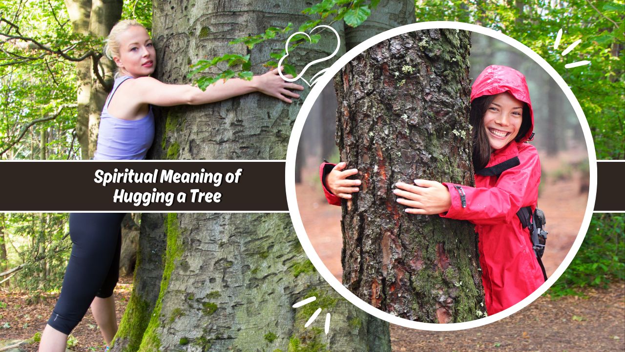 Spiritual Meaning of Hugging a Tree
