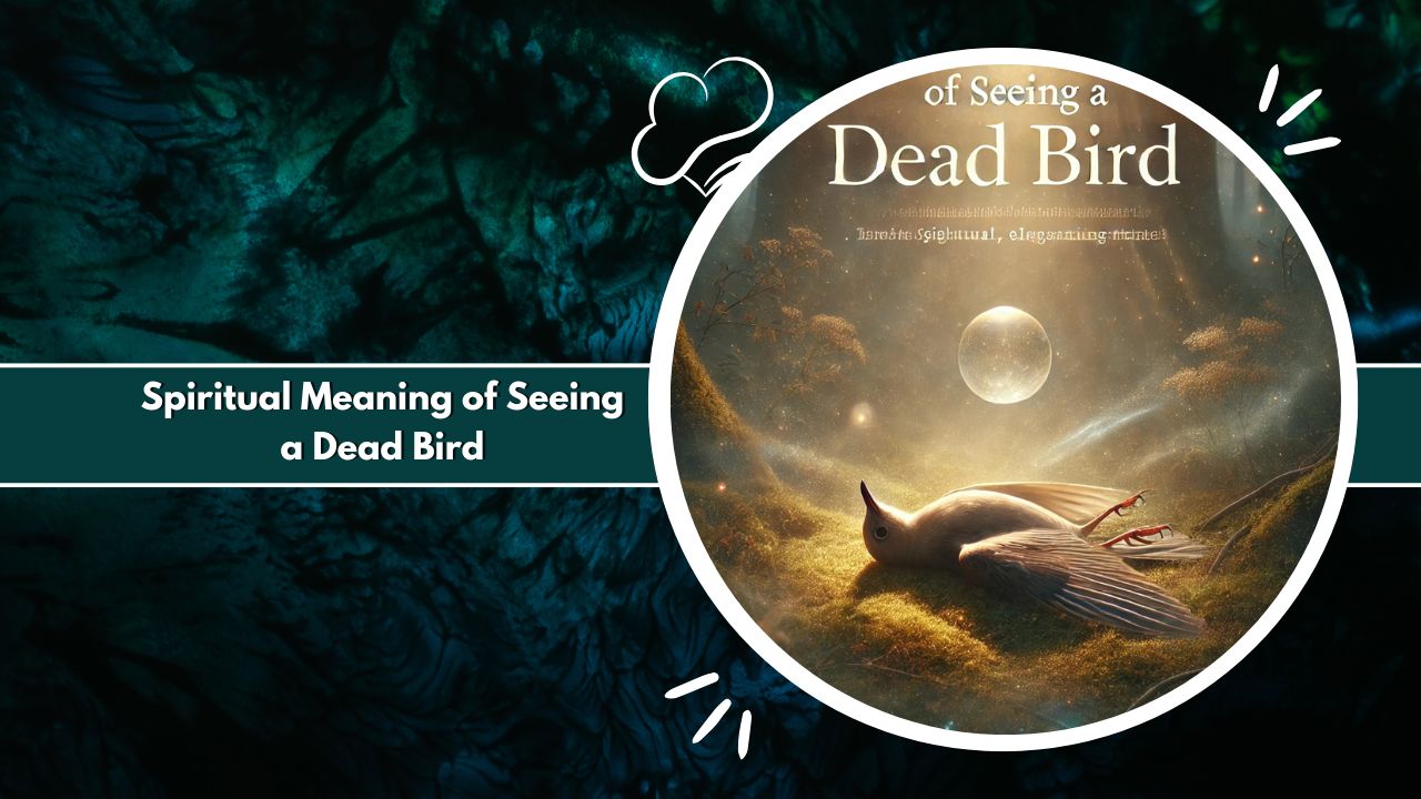 What does it mean when you see a dead bird spiritually?