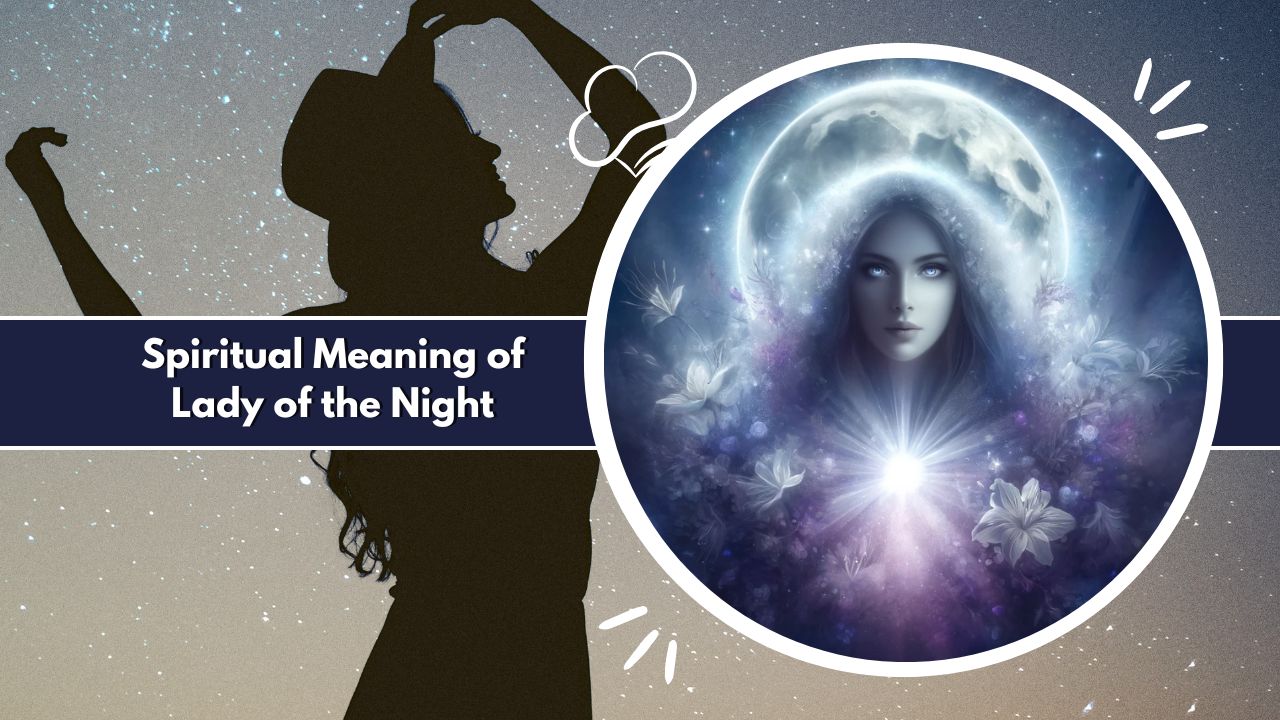 What is the Spiritual Meaning of the Lady of the Night?