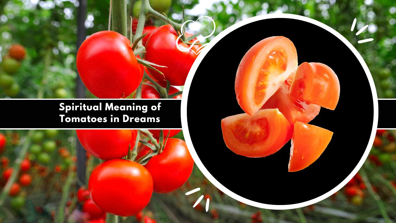 Spiritual Meaning of Tomatoes in Dreams