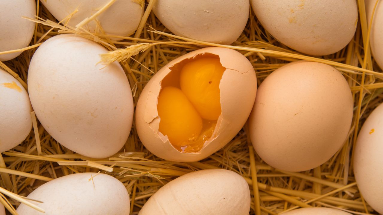 Double Yolk Egg Spiritual Meaning